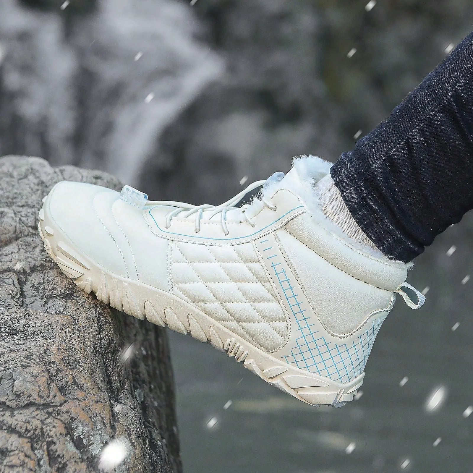 Winter Walk