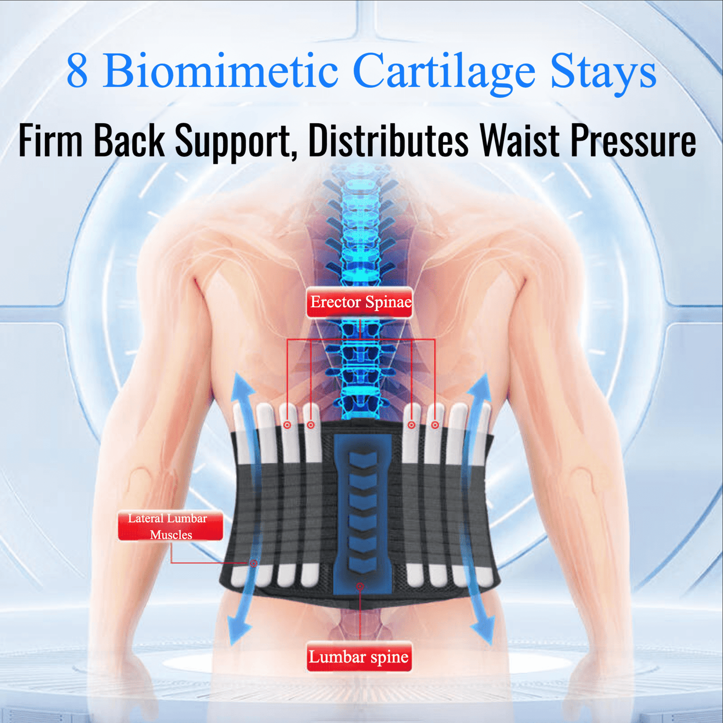 Humtto Dual - Purpose Back Support Belt – For Lifting Workouts & Everyday Lumbar Care - Humtto UK