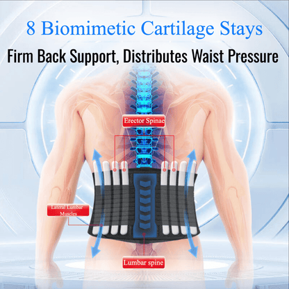 Humtto Dual - Purpose Back Support Belt – For Lifting Workouts & Everyday Lumbar Care - Humtto UK