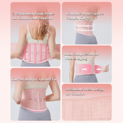 Humtto Fitness Waist Trainer Belt – Women’s Back Support for Lifting & Tummy Control - Humtto UK